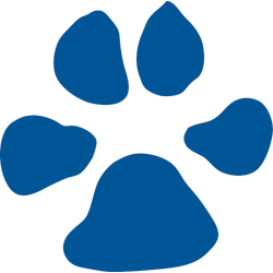 UNC Asheville Bulldogs Alternate Logo 2004 - 2019